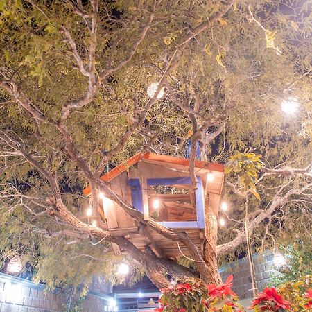 Hotel Casa Del Arbol 버날 외부 사진