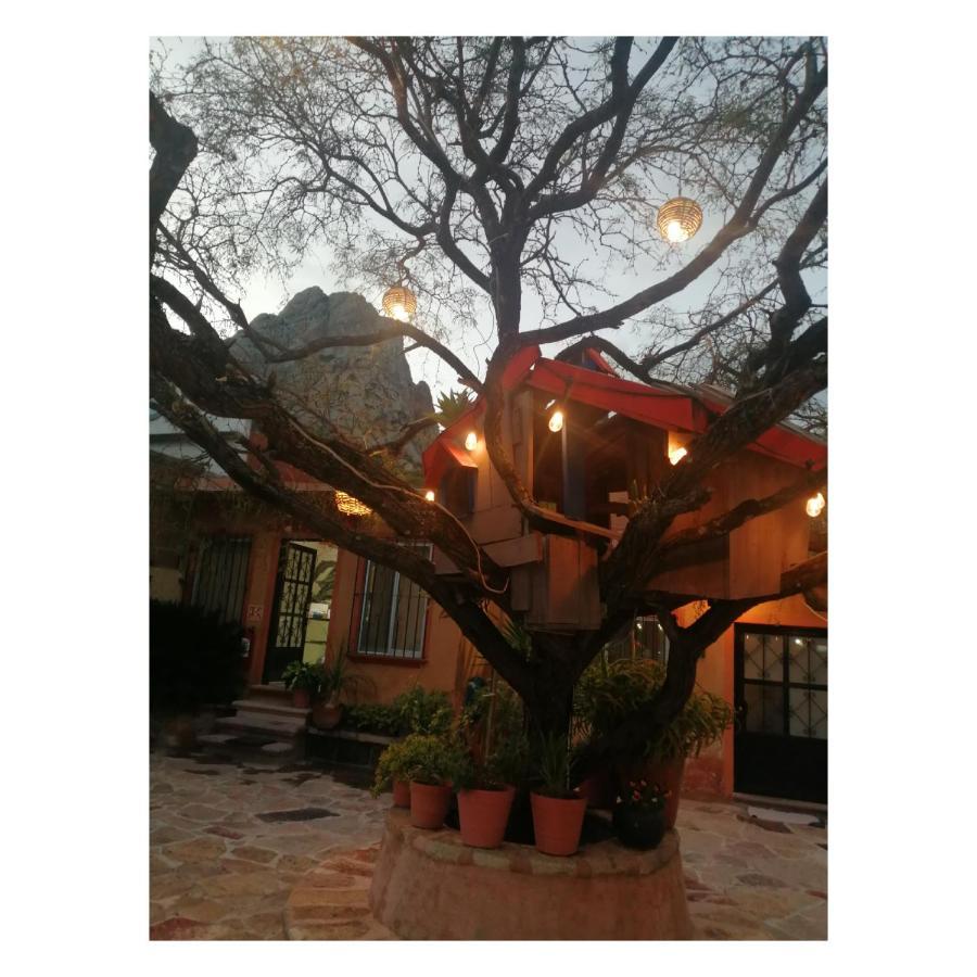 Hotel Casa Del Arbol 버날 외부 사진