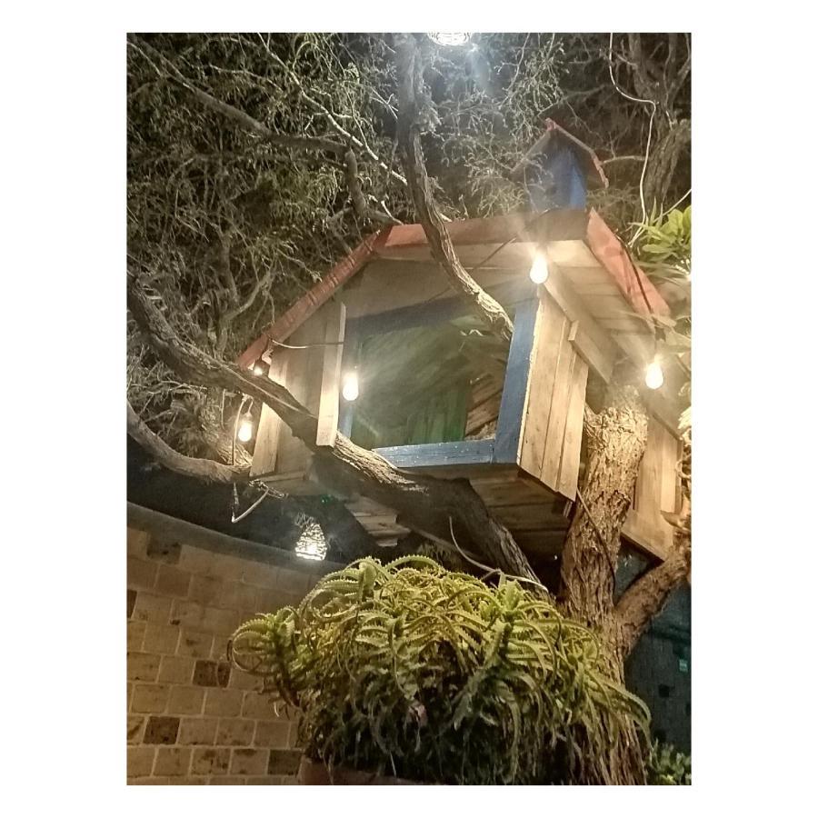 Hotel Casa Del Arbol 버날 외부 사진
