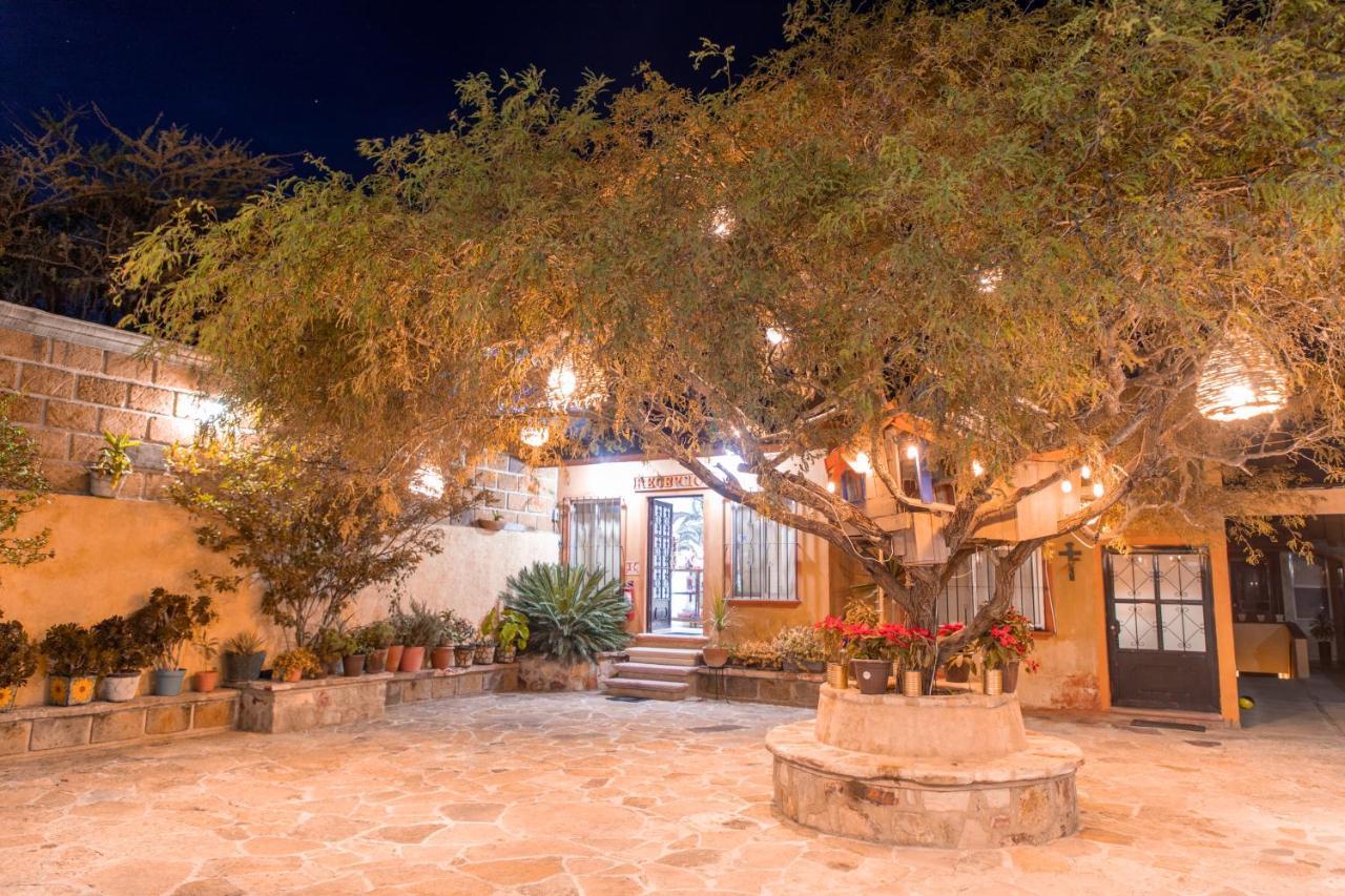 Hotel Casa Del Arbol 버날 외부 사진
