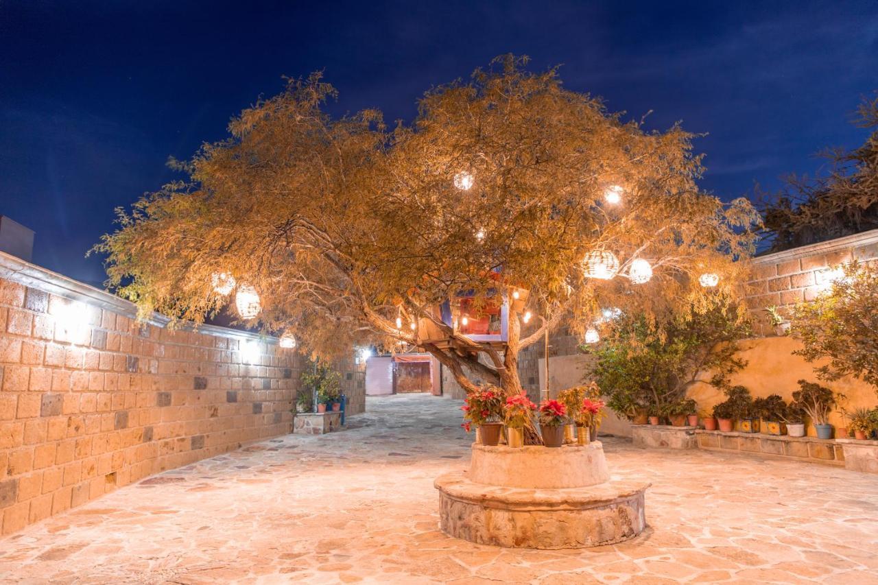 Hotel Casa Del Arbol 버날 외부 사진